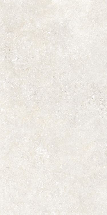 Untamed Wander White 12 x 24